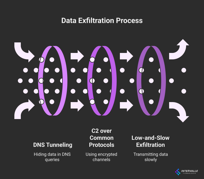A flowchart showing the Data Exfiltration Process with three stages. From left to right: DNS Tunneling (hiding data in DNS queries), C2 over Common Protocols (using encrypted channels), and Low-and-Slow Exfiltration (transmitting data slowly). Each stage is represented by purple circles with white dots, connected by arrows showing the progression of data theft.